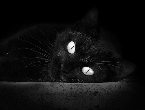 开云体育官方入口-意甲激烈，比分3-2，明星球员各自贡献两球，关键数据：远射准确性达70%